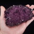 Amethyst (druse 755 gramm) - Amethyst (druse 755 gramm)