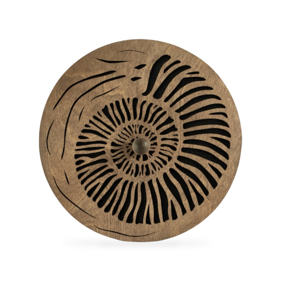 Rain Disk - Dark Ammonite - Rain Disk - Dark Ammonite