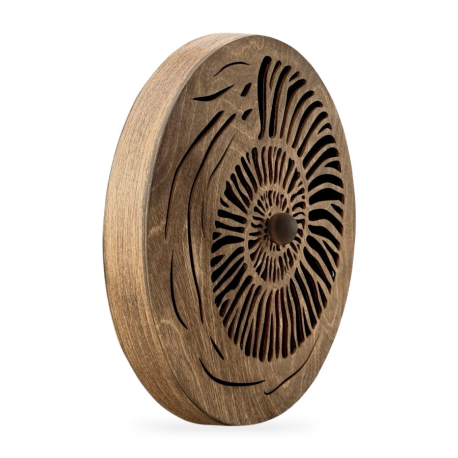 Rain Disk - Dark Ammonite - Rain Disk - Dark Ammonite