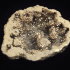 Quartz Crystal (geode 69 gramm) - Quartz Crystal (geode 69 gramm)