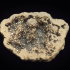 Quartz Crystal (geode 69 gramm) - Quartz Crystal (geode 69 gramm)