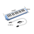 Melodica in case (reed-based wind instrument) Blue 32 - Melodica in case (reed-based wind instrument) Blue 32