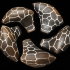 Ocarina Black Mamba (Middle) - Ocarina Black Mamba (Middle)