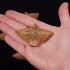 Ocarina Angel mini - Ocarina Angel mini