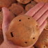 Ocarina Сircle Max - Ocarina Сircle Max