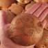 Ocarina Сircle Max - Ocarina Сircle Max