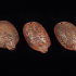 Ocarina Oval Max - Ocarina Oval Max