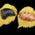 Ocarina Black Moon (middle) - Ocarina Black Moon (middle)