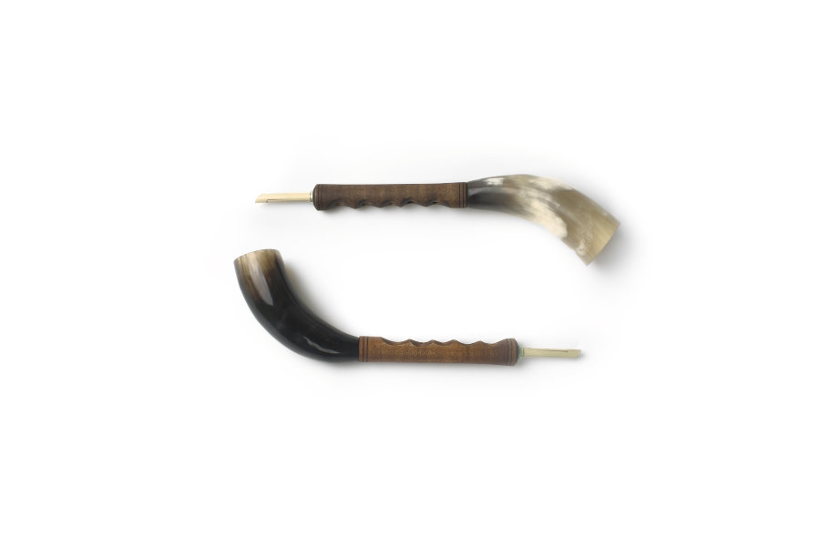 Tver horn ( Zhalejka ) - Tver horn ( Zhalejka )