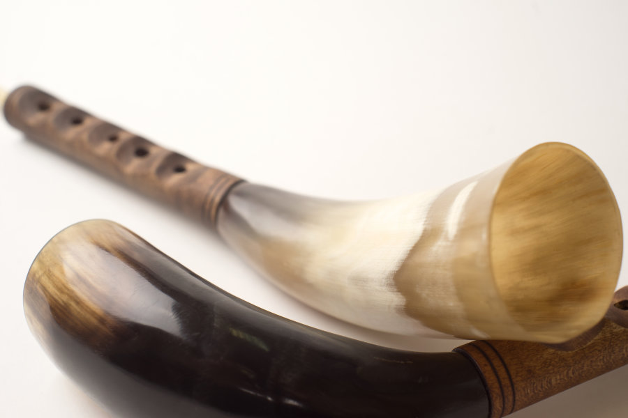 Tver horn ( Zhalejka ) - Tver horn ( Zhalejka )