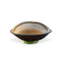 Handpan Shamanic - D Kurd 12 Notes Golden - Handpan Shamanic - D Kurd 12 Notes Golden