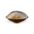 Handpan Shamanic - D Kurd 12 Notes Golden - Handpan Shamanic - D Kurd 12 Notes Golden