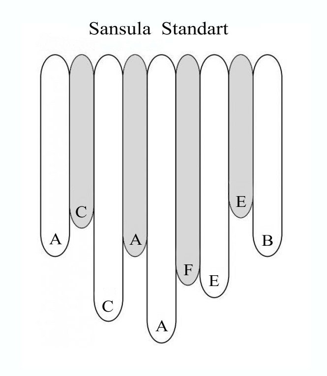 Kalimba Shamanic Rainbow Sansula 9 A minor - Kalimba Shamanic Rainbow Sansula 9 A minor
