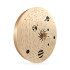 Rain Disk - Light Solar System - Rain Disk - Light Solar System