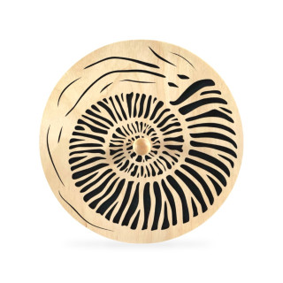 Rain Disk - Light Ammonite