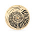 Rain Disk - Light Ammonite - Rain Disk - Light Ammonite