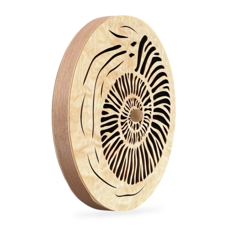 Rain Disk - Light Ammonite - Rain Disk - Light Ammonite
